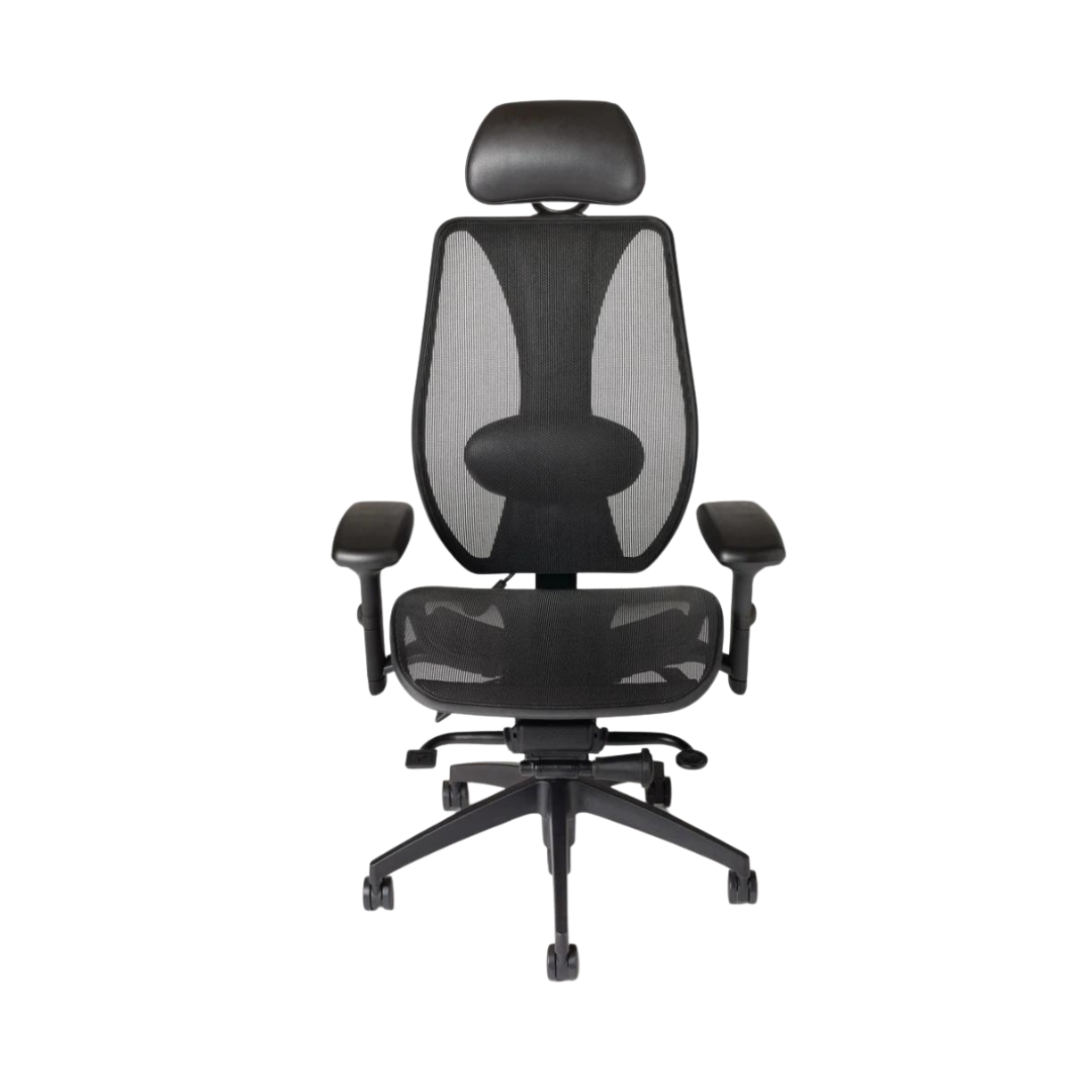 A high-back office chair with a black dual curve elastomeric mesh backrest and a black nylon frame, featuring a cushioned adjustable headrest, Synchro Glide mechanism, and armrests.