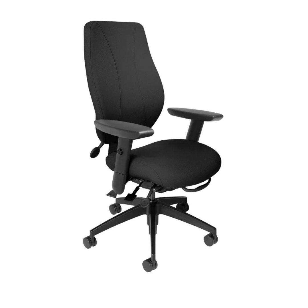 An ergonomic office chair with a black upholstered backrest and seat, dual wheel casters, adjustable armrests, and a five-profile glass reinforced nylon base.