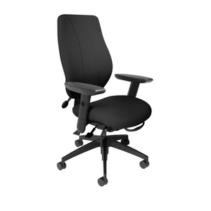 An ergonomic office chair with a black upholstered backrest and seat, dual wheel casters, adjustable armrests, and a five-profile glass reinforced nylon base.
