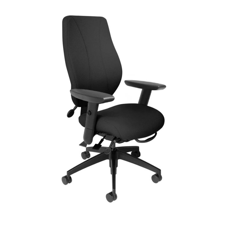 An ergonomic office chair with a black upholstered backrest and seat, dual wheel casters, adjustable armrests, and a five-profile glass reinforced nylon base.